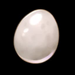 Bird Eggs