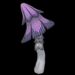 Cave Mushroom