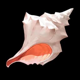 Conch