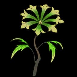 Herbe parfumée