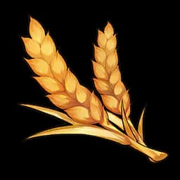 Pousse de blé carencée en nutriments