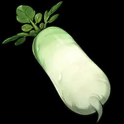 Radish