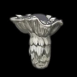 Rock Mushroom