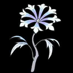 White Dewblossom